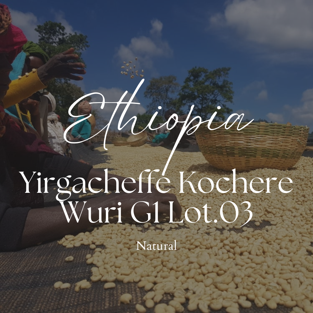 Ethiopia Yirgacheffe Kochere Wuri G1 Lot.03 Natural