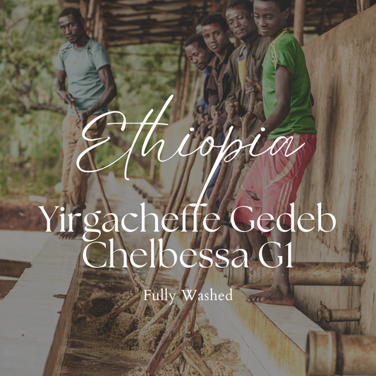 Ethiopia Yirgacheffe Gedeb Chelbessa G1 Washed