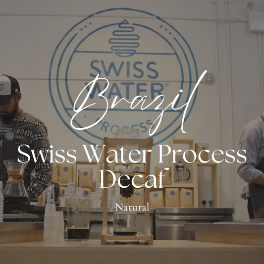 Brazil Natural Swiss Water Process Decaf