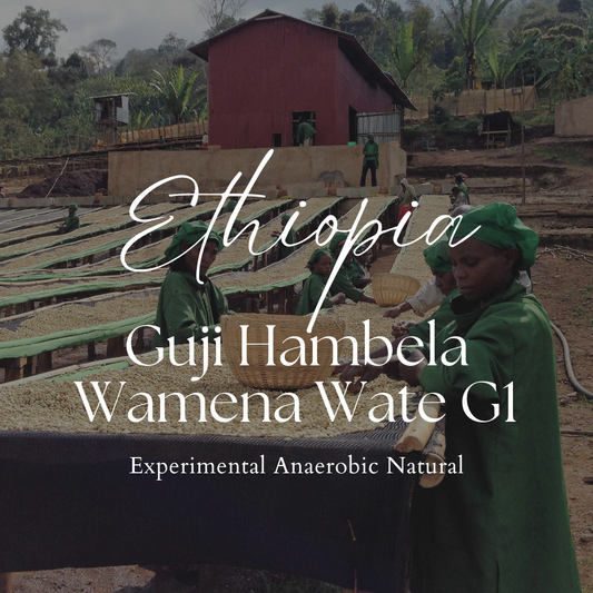 Ethiopia Guji Hambela Wamena Wate G1 Experimental Anaerobic Natural