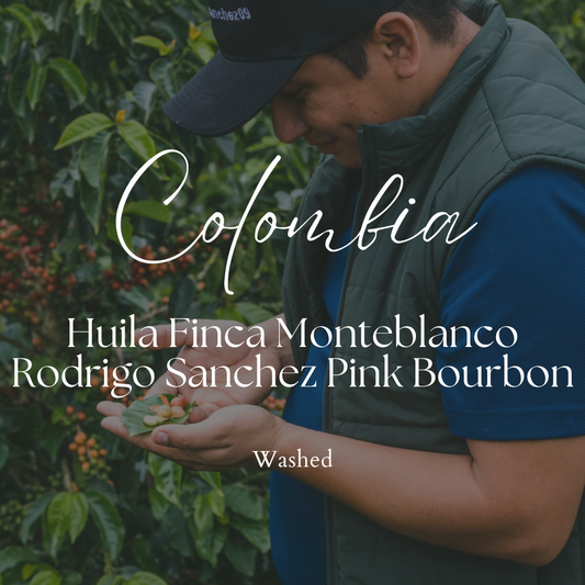 Colombia Huila Finca Monteblanco Rodrigo Sanchez Pink Bourbon Washed
