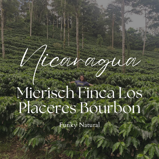 Nicaragua Mierisch Finca Los Placeres Bourbon Funky Natural