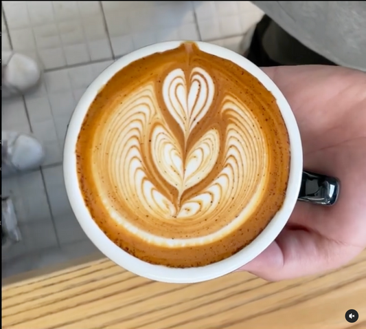 1 on 1 Advanced Latte Art